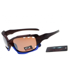 Oakley Glasses-0429