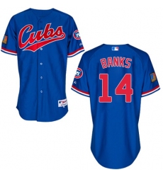 Men's Majestic Chicago Cubs #14 Ernie Banks Authentic Royal Blue 1994 Turn Back The Clock MLB Jersey